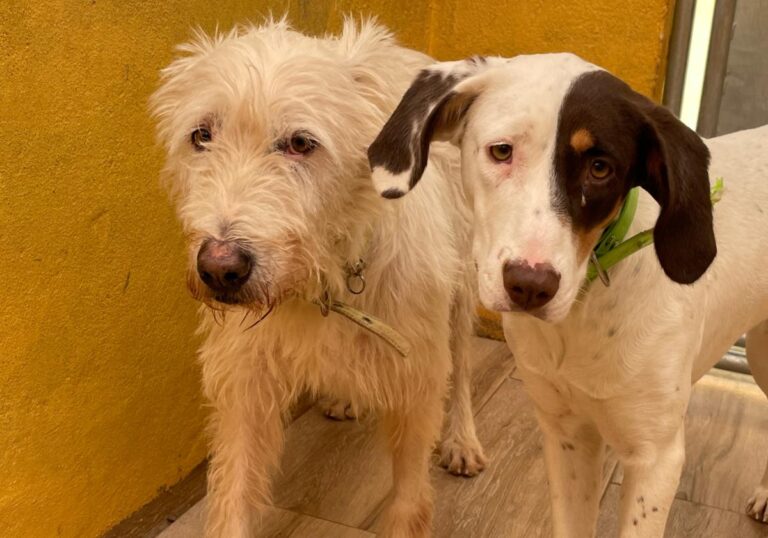 multimedia-foto75118-440-1