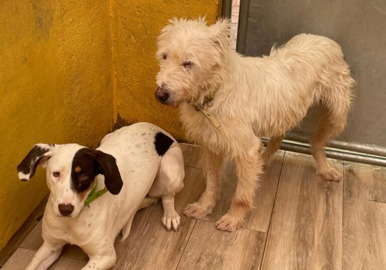 multimedia-foto75119-440-1