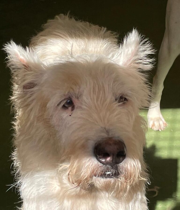 multimedia-foto75120-441-1