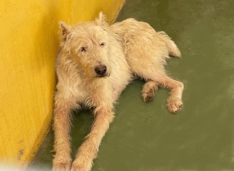 multimedia-foto75122-441-1