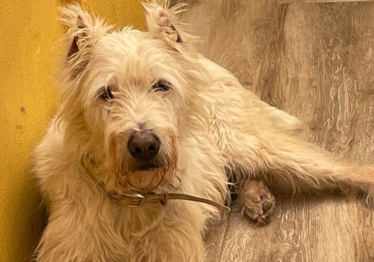 multimedia-foto75123-441-1