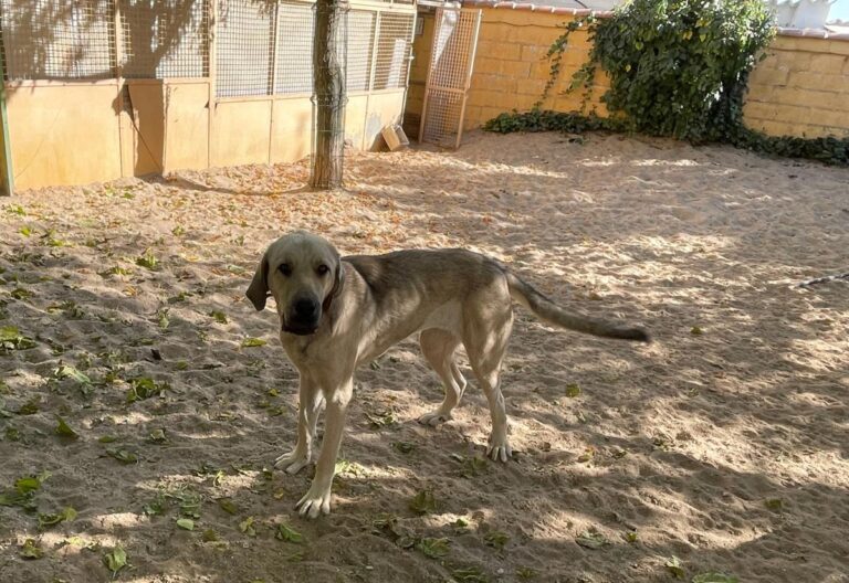 multimedia-foto75146-141-1