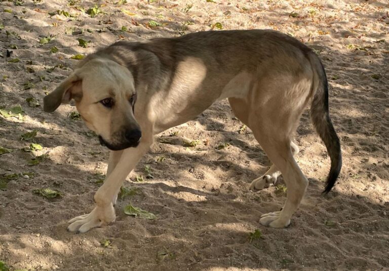 multimedia-foto75147-141-1