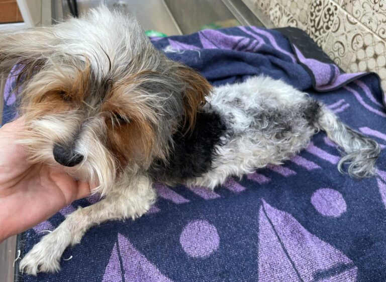 multimedia-foto75211-792-1