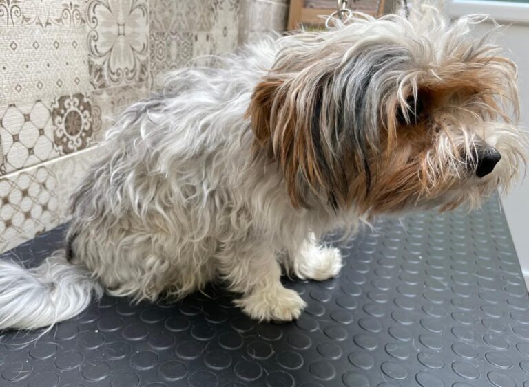 multimedia-foto75212-792-1