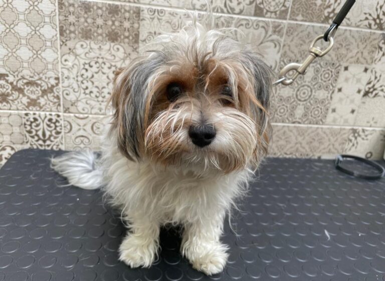 multimedia-foto75213-792-1