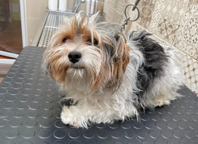 multimedia-foto75214-792-1