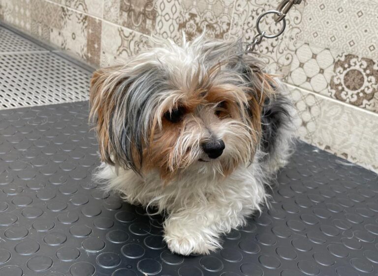 multimedia-foto75215-792-1