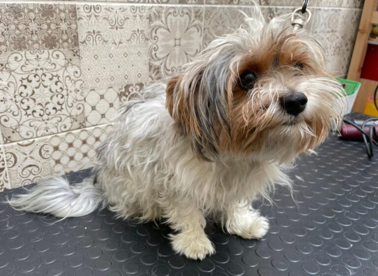 multimedia-foto75216-793-1