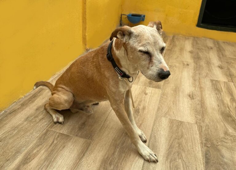 multimedia-foto75218-922-1