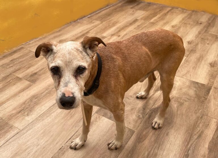 multimedia-foto75219-922-1