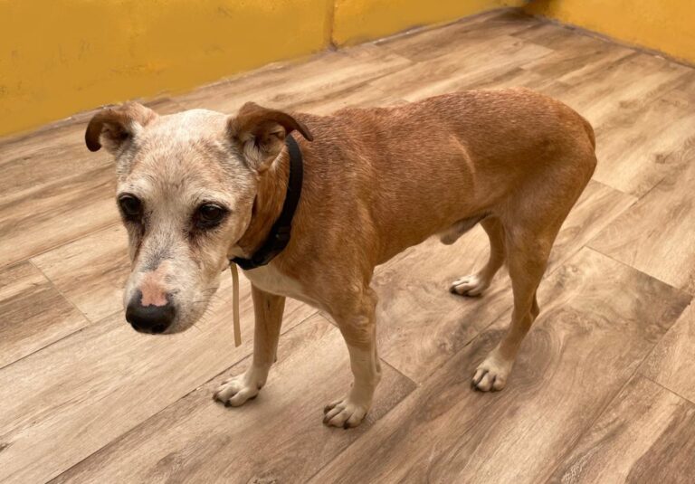 multimedia-foto75220-923-1