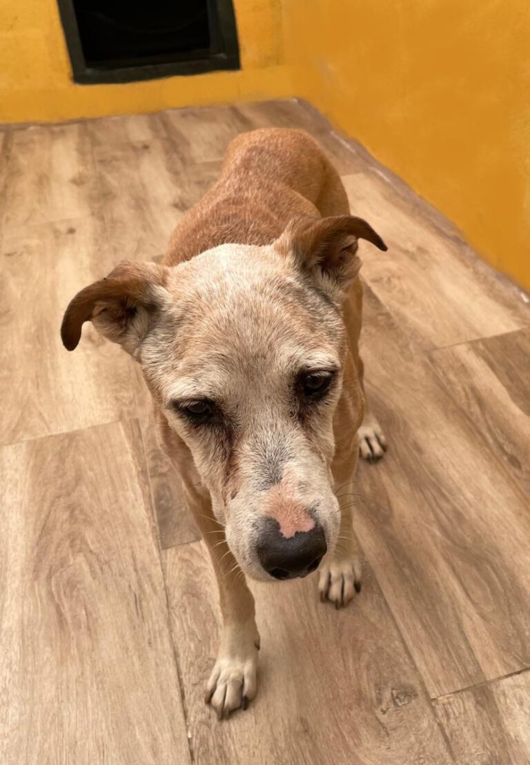 multimedia-foto75221-923-1