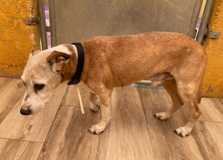 multimedia-foto75222-923-1