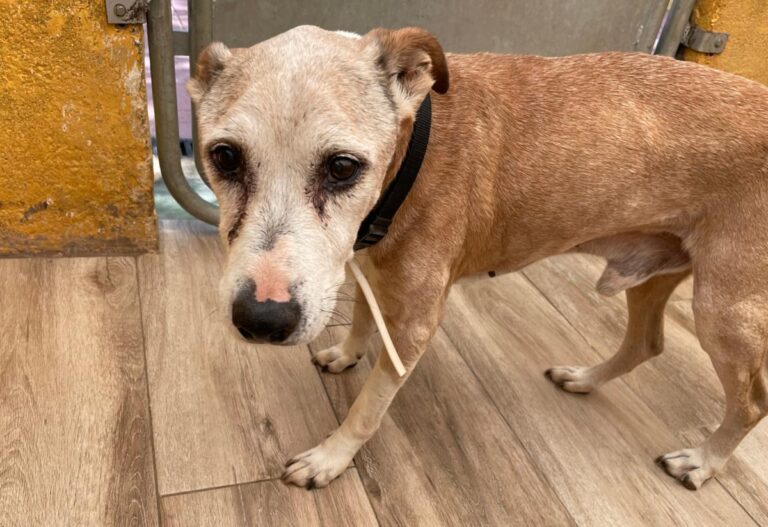 multimedia-foto75223-923-1