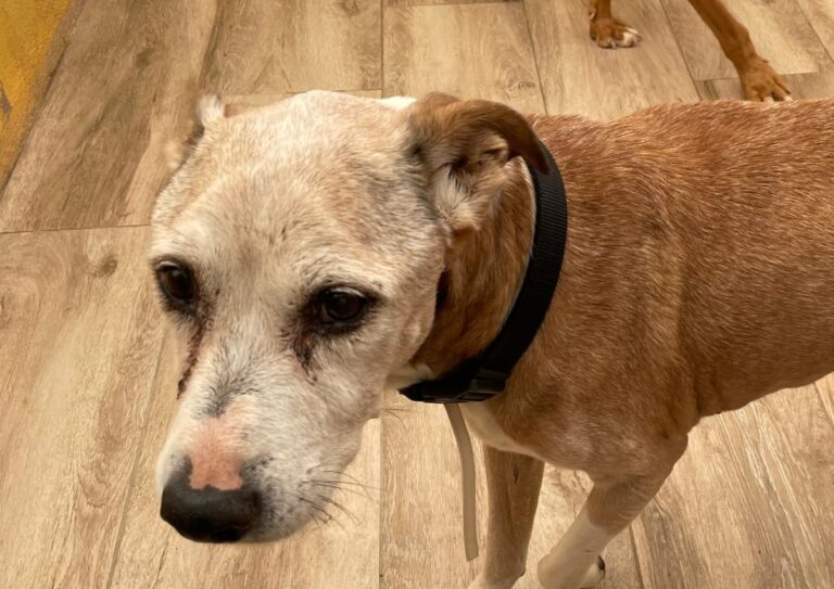 multimedia-foto75224-923-1