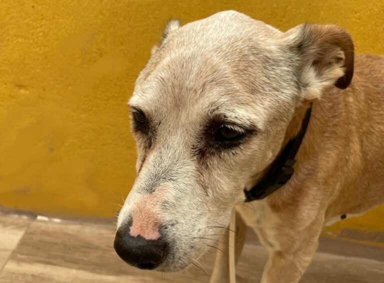 multimedia-foto75225-923-1