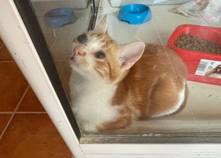 multimedia-foto75288-70-1