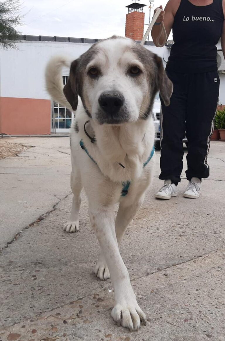 multimedia-foto75353-582-1