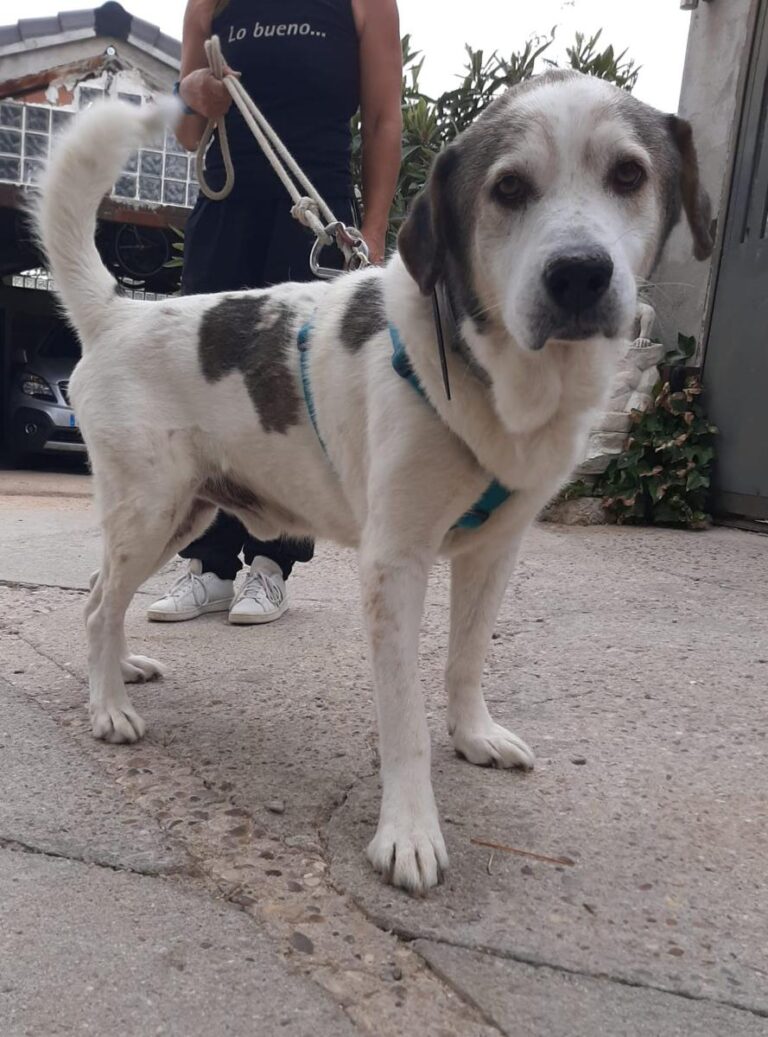 multimedia-foto75354-582-1