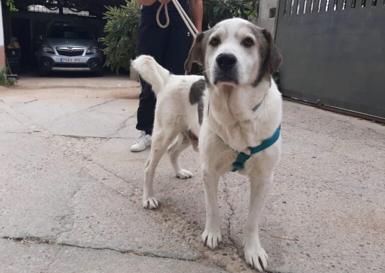 multimedia-foto75356-582-1