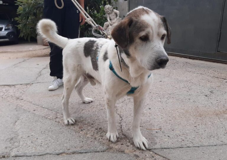 multimedia-foto75357-582-1