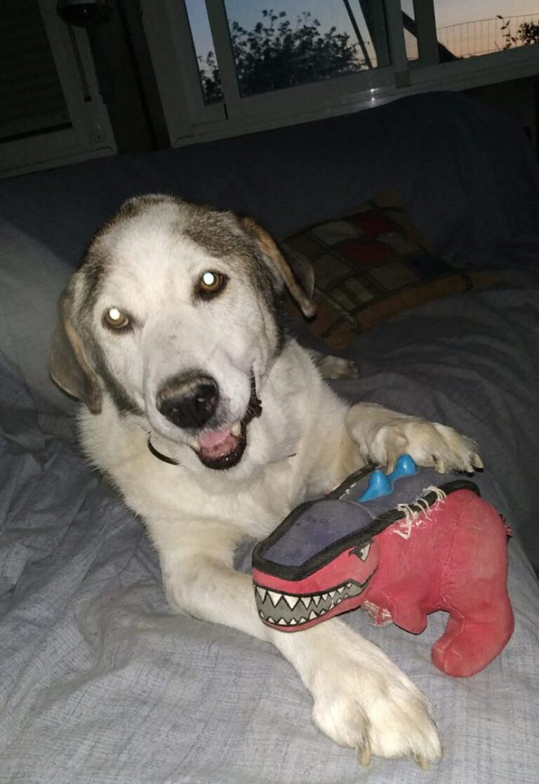 multimedia-foto75358-583-1