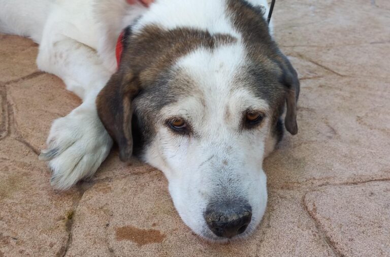 multimedia-foto75359-583-1