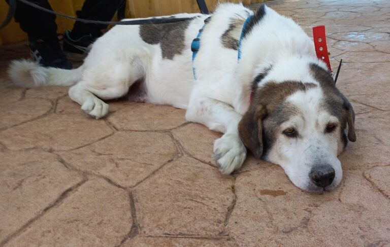 multimedia-foto75360-583-1