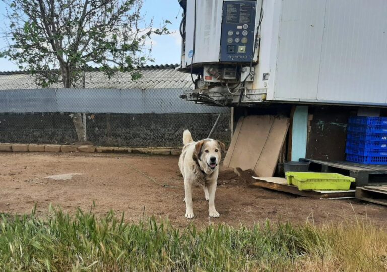 multimedia-foto75361-583-1