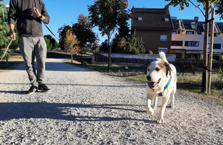 multimedia-foto75362-583-1