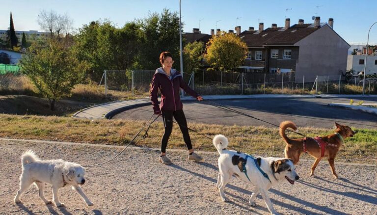 multimedia-foto75365-584-1