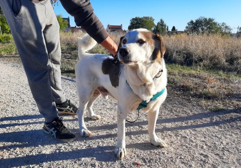 multimedia-foto75366-584-1