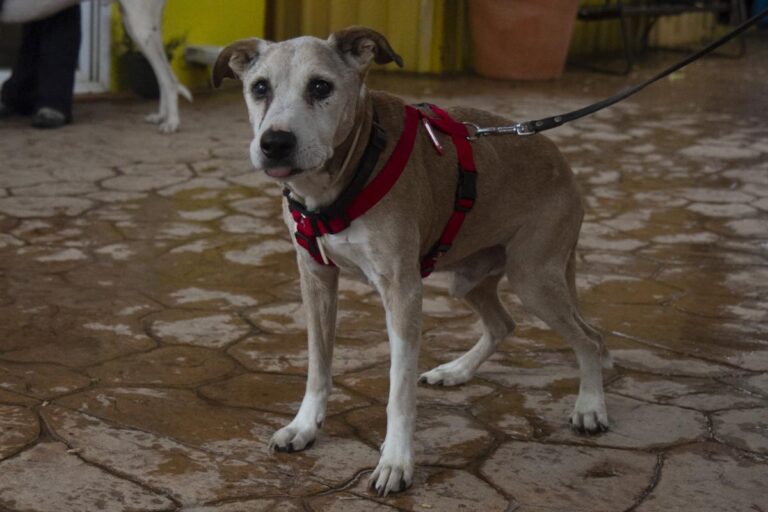 multimedia-foto75398-751-1