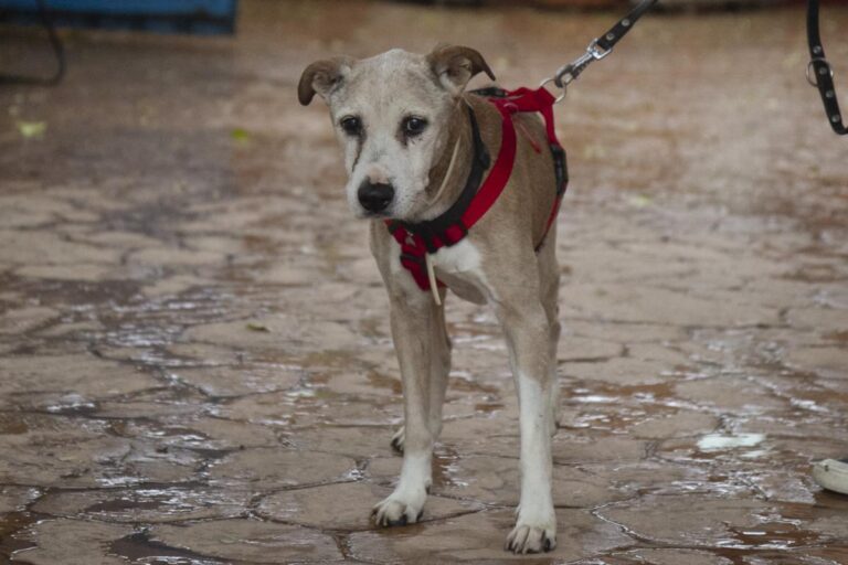 multimedia-foto75399-751-1