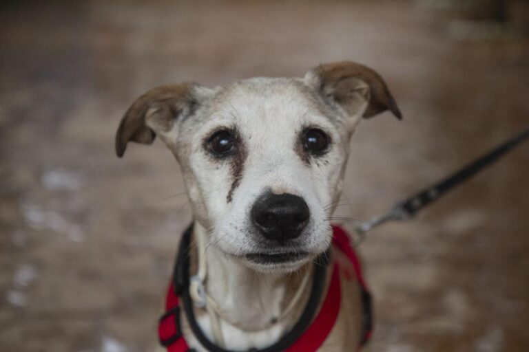 multimedia-foto75400-751-1