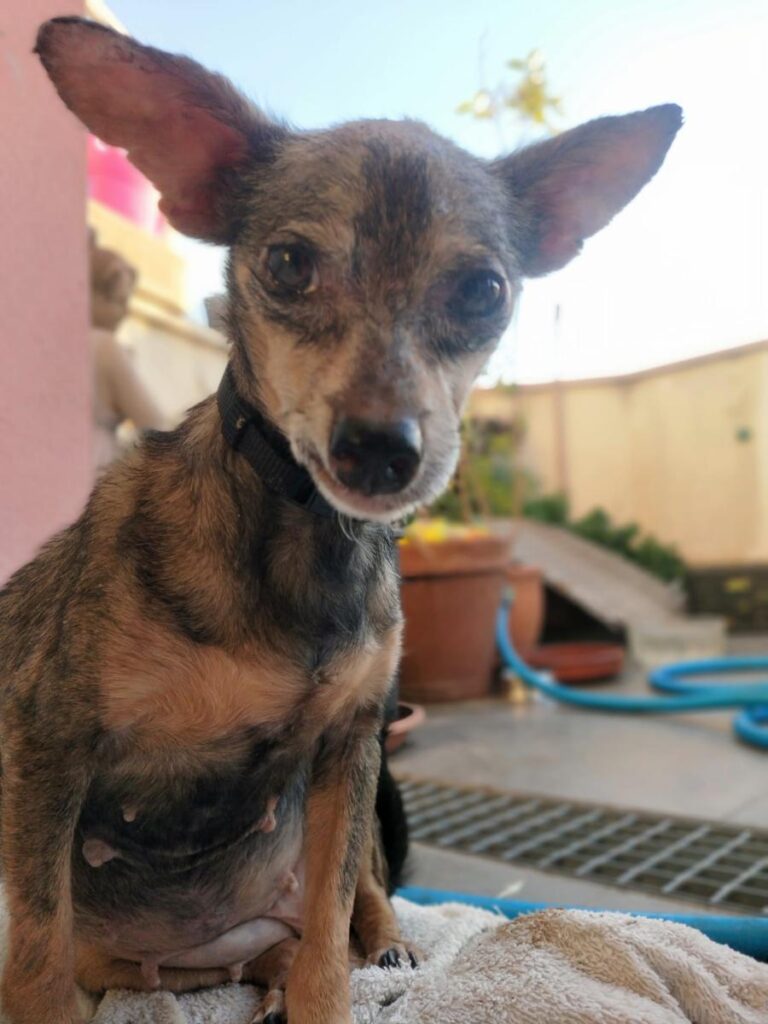 multimedia-foto75401-781-1