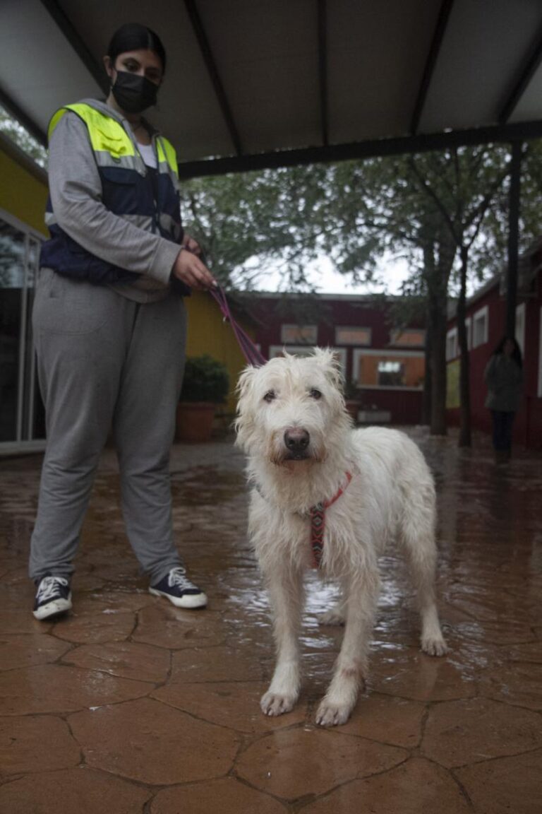 multimedia-foto75404-229-1