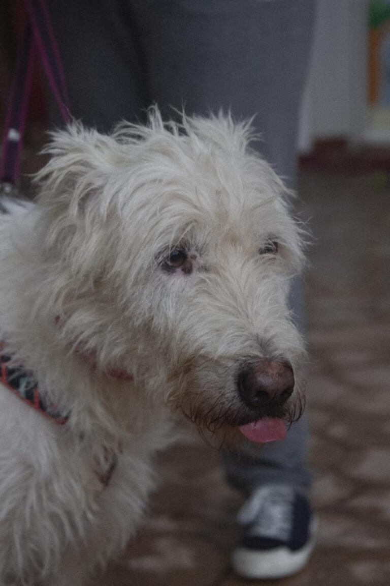 multimedia-foto75405-229-1