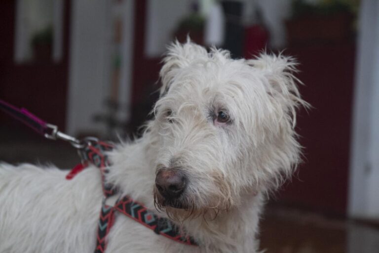 multimedia-foto75407-230-1