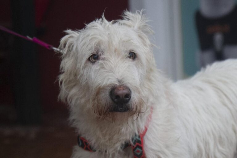 multimedia-foto75408-230-1