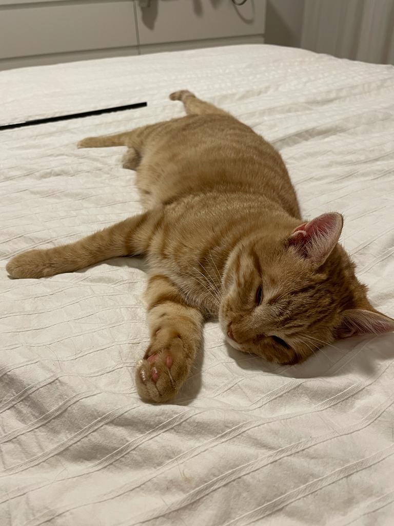 multimedia-foto75460-674-1