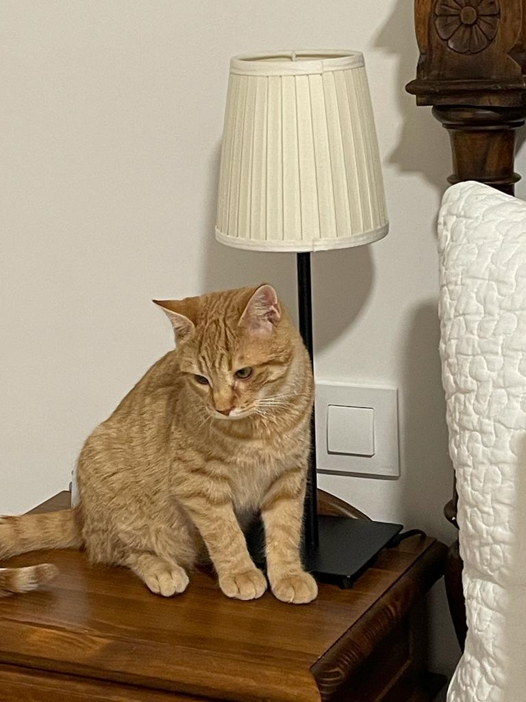 multimedia-foto75461-675-1