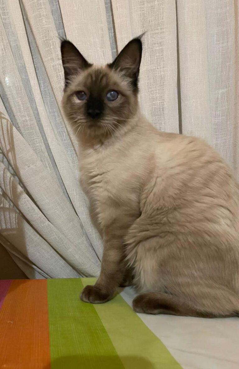 multimedia-foto75465-733-1