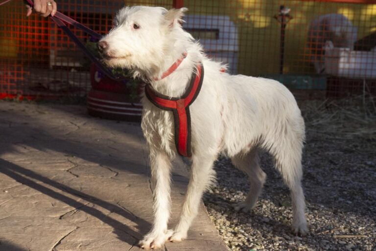 multimedia-foto75491-194-1