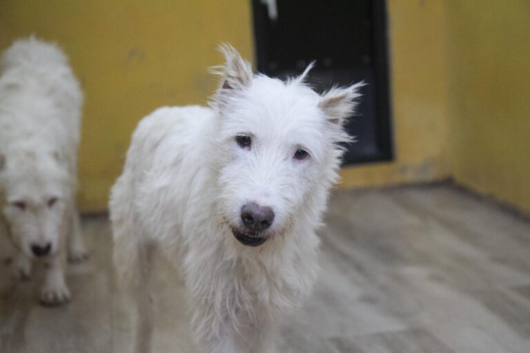 multimedia-foto75493-194-1