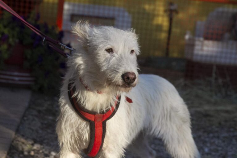 multimedia-foto75494-194-1