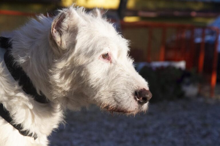 multimedia-foto75495-328-1