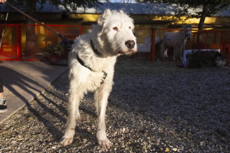 multimedia-foto75496-328-1