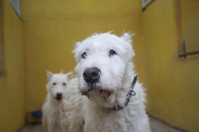 multimedia-foto75497-328-1